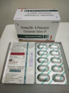 WhatsApp Image 2025-11-27 at 9.06.11 AM (1)
